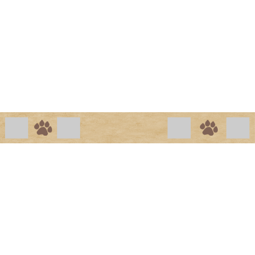 Brown Paws NEW 02